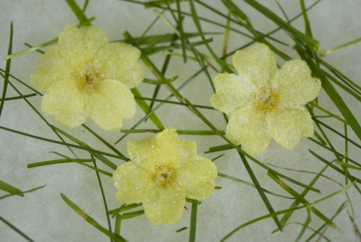 Wedding Catering Drinks Devon 6